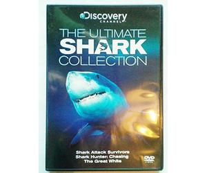 The Ultimate Shark Collection - Shark Attack Survivors - Chasing the Great White
