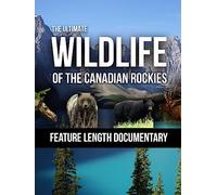 The Ultimate Wildlife Of The Canadian Rockies