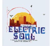 The Unabombers - Electric Soul