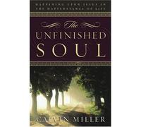 The Unfinished Soul: Happening Upon Jesus in the Happenstance of Life