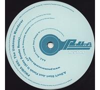 The Unknown Wanderer - The Unknown Wanderer - Don't Start Just Finish It / Living In Concrete Houses