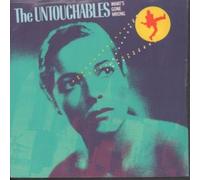 The Untouchables What’s Gone Wrong/The Lonely Bull UK 45 7" sgl + Picture Slv