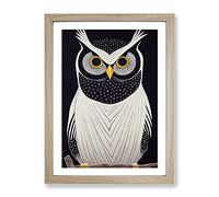 The Unusual Owl Framed Print | A2 Oak Framed Wall Art | Ready to Hang | Modern Animal Picture | Living Room Bedroom Lounge Office