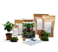 The Urban Botanist Closed Terrarium Kit ◦ Queensway H: 25 cm - Tweezers Scissors Mister - Cork