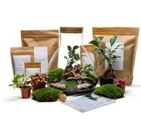 The Urban Botanist DIY Large Conical Terrarium Kit with Bonsai ◦ Borough H: 32 cm - Scissors - Cork