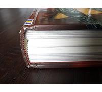 The Usborne Internet-linked Encyclopedia of World History (Internet-linked S.)