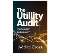 THE UTILITY AUDIT: The "Broke-Pivot" System for Extracting Elite Help and High-Value Knowledge Without Initial Capital: 1 (THE UTILITY AUDIT SERIES)