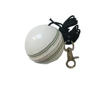 The V - Replacement Senior White Cricket Ball