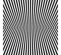 The Vacant Lots - Damage Control