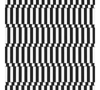 The Vacant Lots - Endless Night [VINYL]