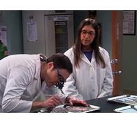 The Vacation Solution