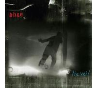 The Veil by Nels Cline (2011-06-07)