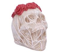 The Veil Skull (Large) NEW