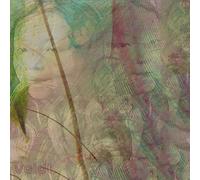 The Veldt - Symmetry B/w Slowdown [7" VINYL]