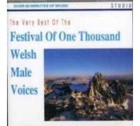 The Very Best Of Welsh Male Voices