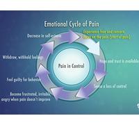 The Vicious Cycle of Pain and Mood