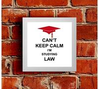 The Victorian Printing Co - Can't Keep Calm I'm Studying Law - Framed Picture - White