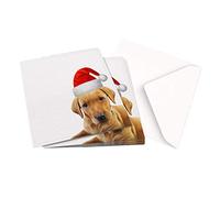 The Victorian Printing Co - Christmas Card Pack of 10x1 Design ORIGINAL PHOTOGRAPH A FOX RED LABRADOR PUPPY - Square Greeting Card X10