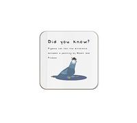 The Victorian Printing Co - Did You Know? Sophisticated Pigeons - Fun Fact Birthday Single Coaster