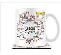 The Victorian Printing Co - Krebs Cycle - Mug and Coaster Set