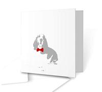 The Victorian Printing Co - Pale ghosted image of a Bassett Hound dog with a Red Bow Tie - Square Greeting Card