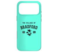 The Village of Bradford Classic Style Palm Trees Design Case for iPhone 17 Pro Max