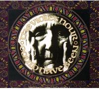 THE VIOLENT HOUR - THE VIOLENT HOUR - COULD HAVE BEEN