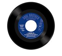The Voices Of East Harlem - Cashing In / Take A Stand [7" VINYL]