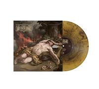 The Voynich Code – Insomnia – Vinyl