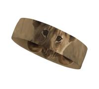 The Waiting Lion Cub Workout Headband for Men and Women Moisture Wicking Headband for Tennis, Basketball, Running, Gym Outdoor Sports Sweatband