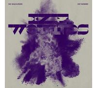 The Wallflowers : Exit Wounds VINYL 12" Album (2021) NEW Amazing Value