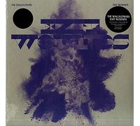 The Wallflowers - Exit Wounds (Webstore Exclusive) [VINYL]