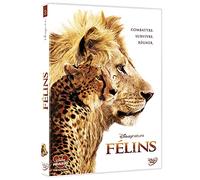 THE WALT DISNEY COMPAGNY Félins