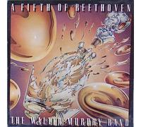 The Walter Murphy Band - A Fifth Of Beethoven