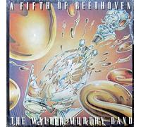 The Walter Murphy Band - A Fifth of Beethoven [Vinyl LP] [Schallplatte]