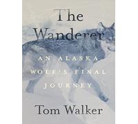 The Wanderer: An Alaska Wolf's Final Journey