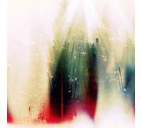 The War On Drugs - Future Weather [VINYL]