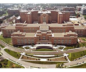 The War over the Human Genome