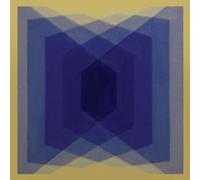The Warlocks EXP (Experimental Burnout Music) (Vinyl) (US IMPORT)