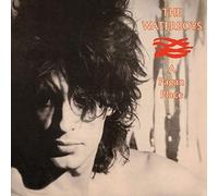 The Waterboys - A Pagan Place