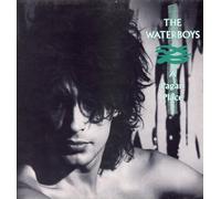The Waterboys - a pagan place LP