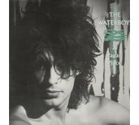 The Waterboys - A Pagan Place [Vinyl_LP]