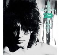 THE WATERBOYS - A PAGAN PLACE VINYL LP NEW