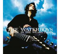 The Waterboys - A Rock In The Weary Land (Expanded Edition) [VINYL]