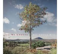 The Waterboys - All Souls Hill [VINYL]