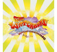 The Waterboys - Book of Lightning [VINYL]