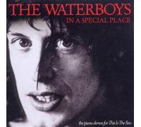 The Waterboys - In A Special Place: The Piano Demos For This Is The Sea