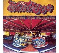 The Waterboys - Room To Roam