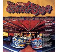 The Waterboys - Room To Roam (Half Speed Master) [VINYL]