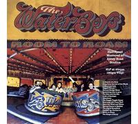 The Waterboys - Room To Roam (Half Speed Master) [VINYL]